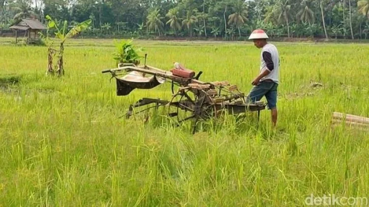 Hari Krida Pertanian: Menguatkan Semangat Petani Indonesia