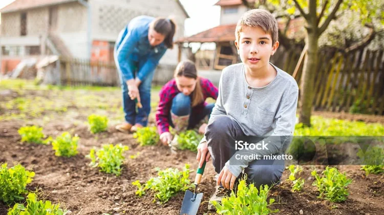 Manfaat Berkebun dan Memelihara Tanaman untuk Kesehatan