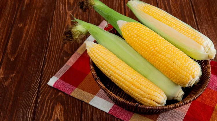 Jagung Rebus, Camilan Sehat dan Sederhana untuk Keluarga