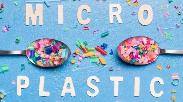 Kebiasaan Dapur Harian Picu Paparan Mikroplastik Berbahaya
