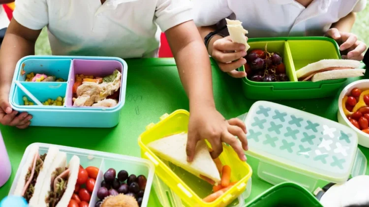 Bikin Anak Semangat Sekolah! Ini 5 Tips Membuat Bekal Sehat dan Bergizi