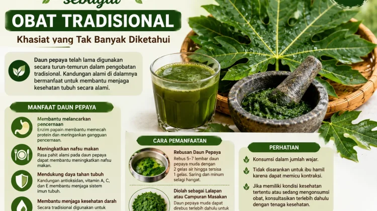 Khasiat Daun Pepaya sebagai Obat Tradisional yang Tak Banyak Diketahui
