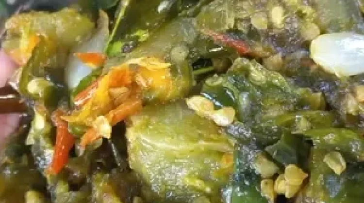 Samba Lado Hijau, "Pedas, Gurih, Nikmat"