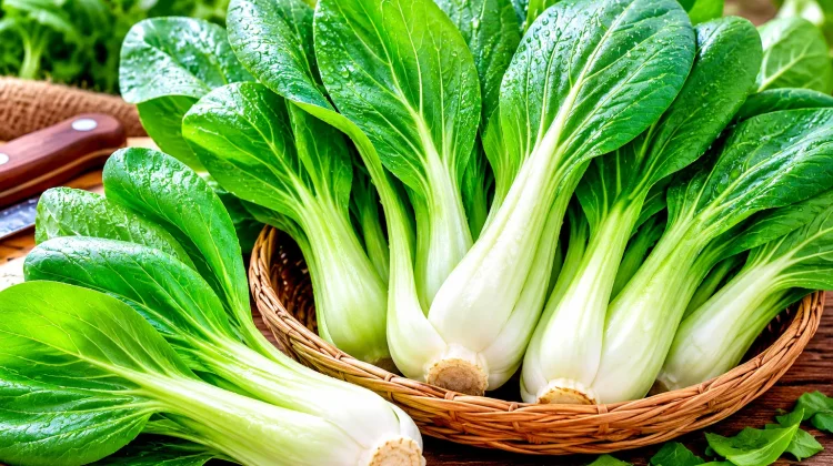 Pakcoy, Sayuran Sederhana dengan Segudang Nutrisi