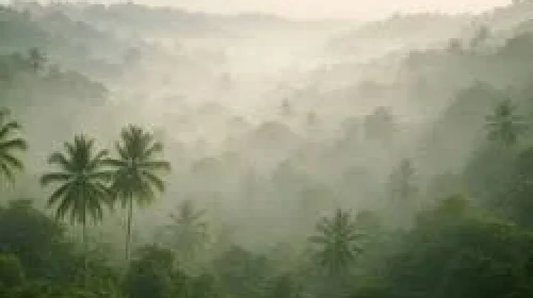 Terapi Suara Hutan Hujan Pulihkan Stres Mental Kita