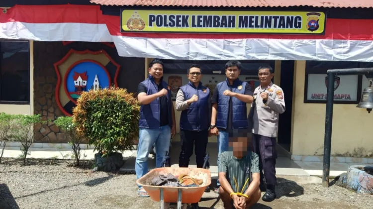 Tim URC Polsek Lembah Melintang Tangkap Pelaku Curat