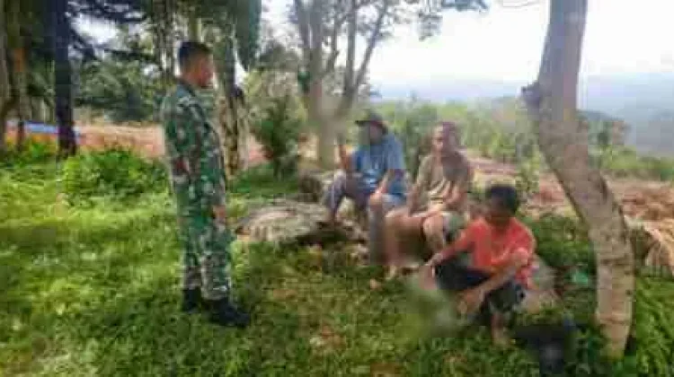 Babinsa Payakumbuh Tanam Ubi Dorong Ketahanan Pangan