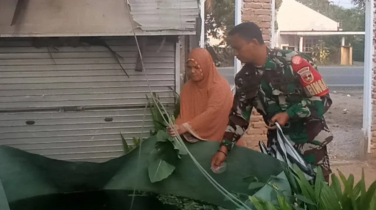 Babinsa Harau Dorong Kolam Terpal Nila