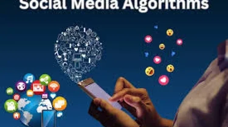 Algoritma Media Sosial, Perlu Dipahami atau Tidak?