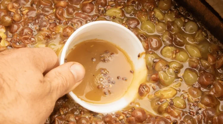 Bahaya Tren Kopi Fermentasi Terhadap Lambung