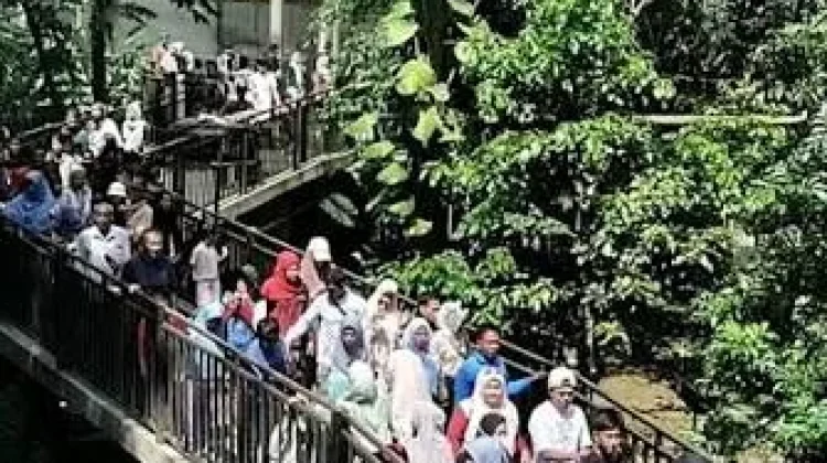 Taman Margasatwa dan Budaya Kinantan Bukittinggi Ramai Wisatawan saat Liburan