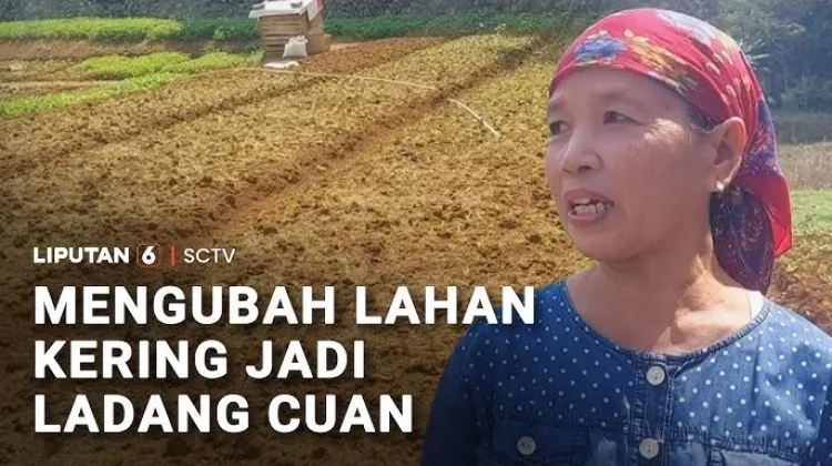 Mengubah Lahan Kesehatan Menjadi Ladang Cuan