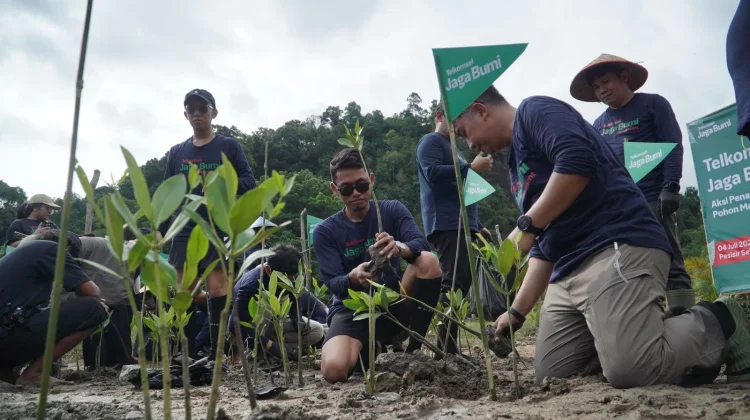 Telkomsel Hijaukan Pesisir Selatan Lewat Penanaman 3000 Pohon Mangrove