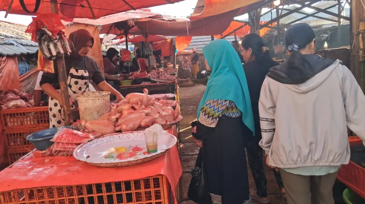 Harga Ayam di Pasar Aur Kuning Rp65 Ribu