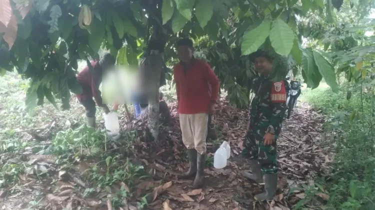 Babinsa Koramil 03/Suliki Pererat Silaturahmi dengan Warga melalui Komsos