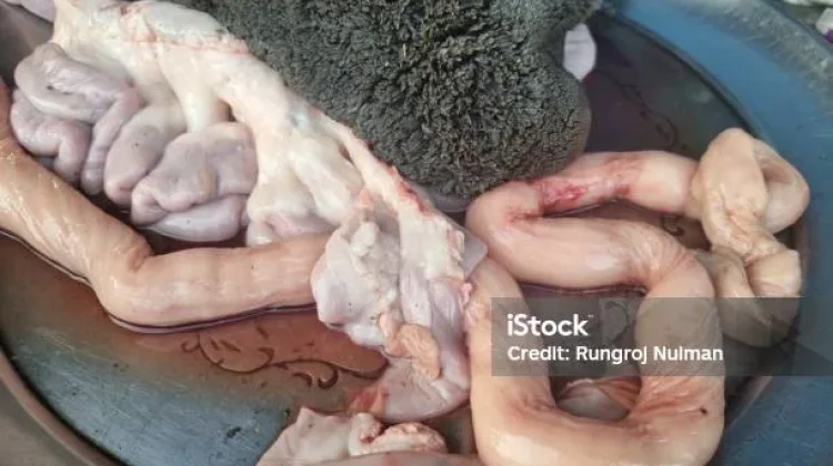 Usus Sapi, dan Manfaat Mengonsumsinya