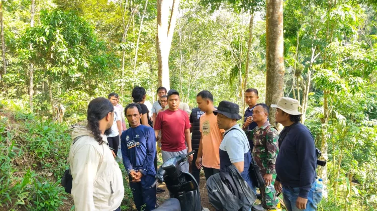 Kodim 0304/Agam Ungkap Praktik Tanam Ganja di Palembayan, Dua Petani Diamankan