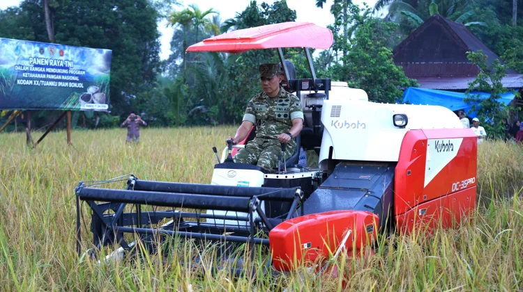 Perkuat Ketahanan Pangan Nasional, Danrem 032/Wbr Gelar Panen Raya di Kuranji