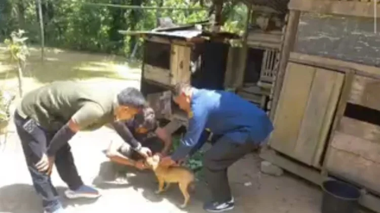 TMMD Ke-129 Kodim 0304/Agam Hadirkan Pelayanan Kesehatan Hewan Cegah Rabies Massal