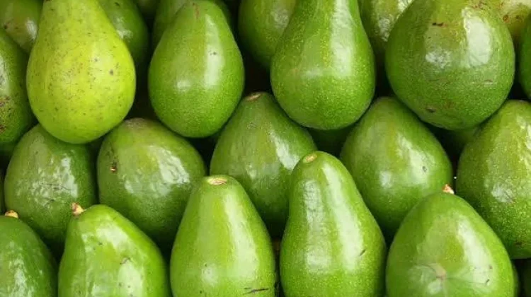 Apa Itu Buah Klimaterik? Kenali Ciri dan Contohnya