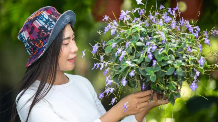 Merawat Bunga, Merawat Jiwa,"Manfaat Positif dari Hobi Menanam"
