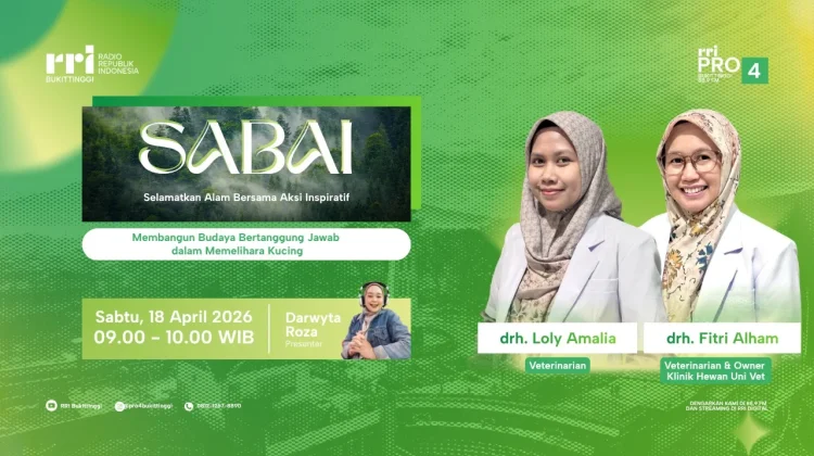 Sumatera Barat Masuk Sepuluh Besar Populasi Kucing Liar