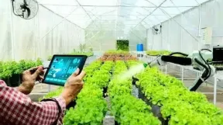 Modal Terbatas Tetap Bisa Cuan, Ini 5 Peluang UMKM yang Menjanjikan