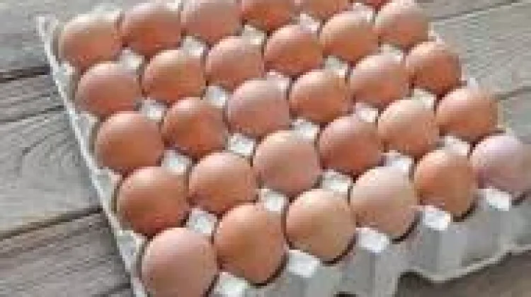 Manfaat Telur Maksimal Berawal dari Cara Konsumsinya Tepat