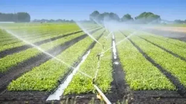 Mengenal Sistem Irigasi Cerdas, Teknologi yang Membantu Petani Mengelola Air
