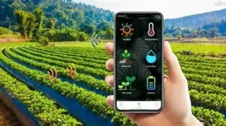 Smart Farming, dan Pemantauan Tanaman Digital untuk Hasil Panen yang Lebih Optimal