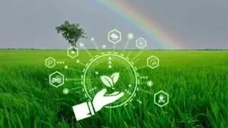 Pertanian Masa Depan, "Bagaimana Smart Farming Mengubah Cara Bertani"