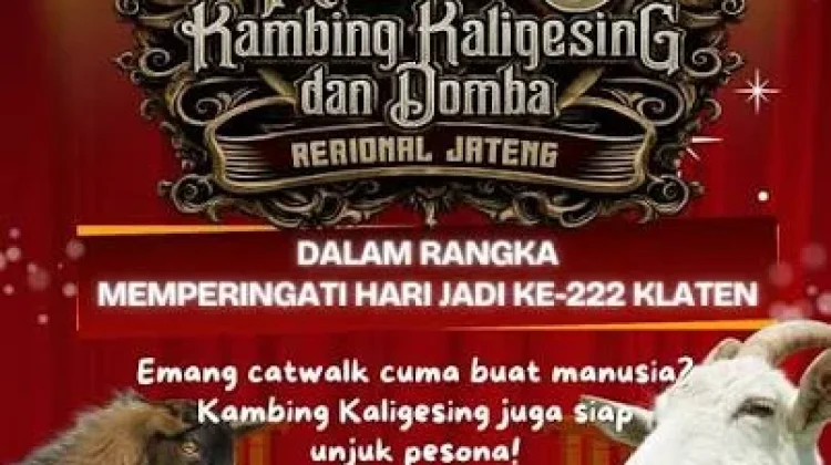 Kontes Kambing Piala Wali Kota Payakumbuh Meriahkan Akhir Pekan