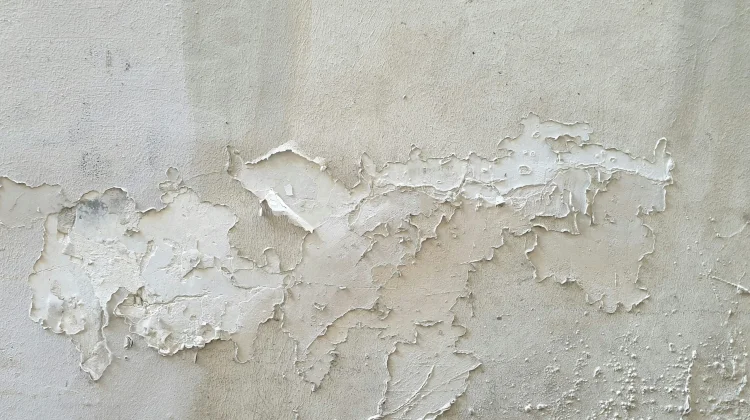 Cara Mengatasi Tembok Lembab agar Rumah Tetap Sehat, dan Nyaman