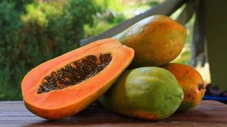 Jangan Sembarangan Makan Pepaya Bersama Makanan Ini