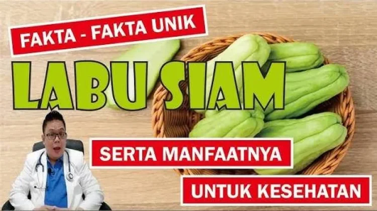 Manfaat Labu Siam untuk Kesehatan