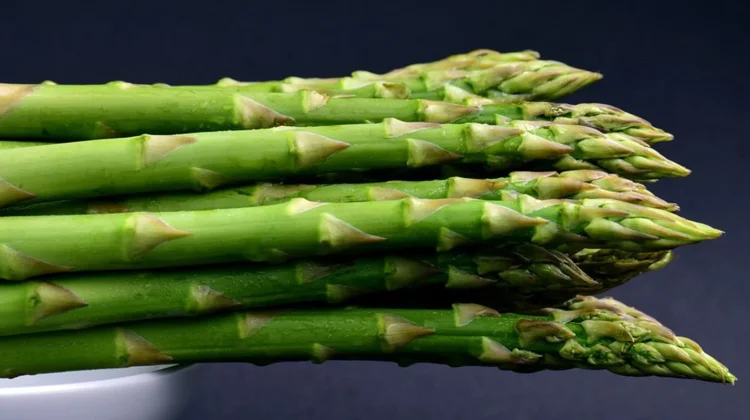 Kenapa Sayur Asparagus Mahal? Ini Alasan di Balik Harganya