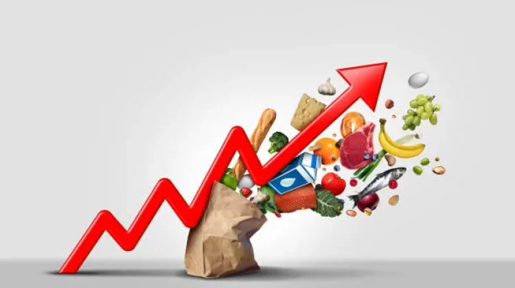 Harga Pangan Berfluktuasi, Cara Keluarga Menjaga Belanja Secara Cerdas