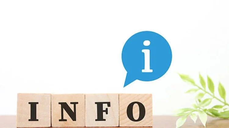 Anak Muda dan Literasi Digital, Kunci Hadapi Era Informasi