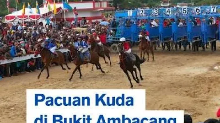 Olah Raga Pacu Kuda di Bukittinggi Tradisional yang sarat Sejarah dan Budaya