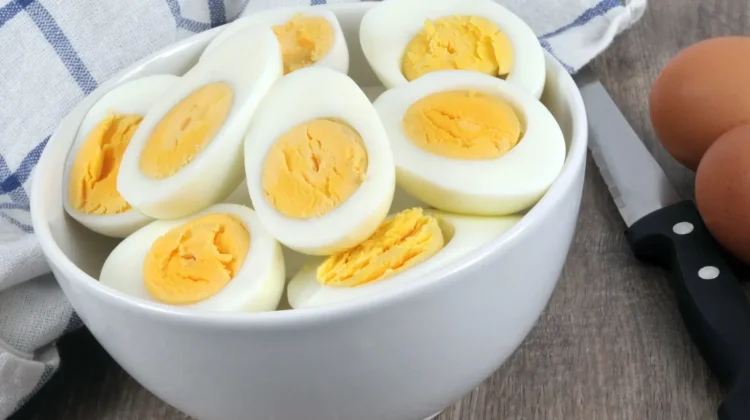 Kuliner Tinggi Protein, dan Serat untuk Diet