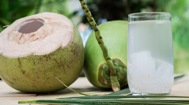 Minuman Air Kelapa Segar dan Kaya Elektrolit