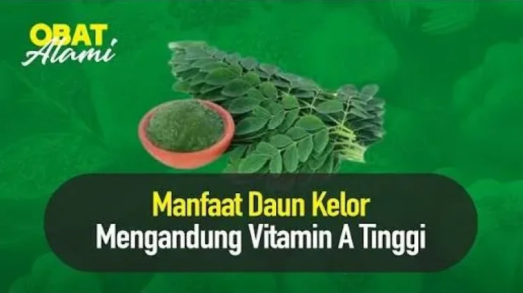 Manfaat Daun Kelor untuk Kesehatan