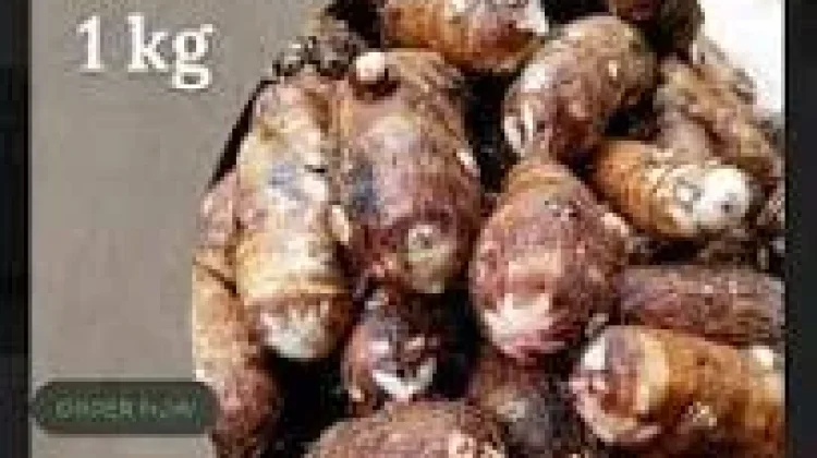 Manfaat Talas Kimpul dan Kandungan Gizinya