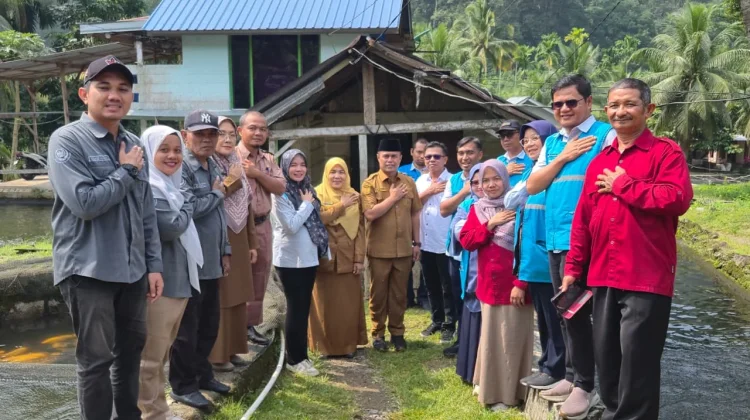 PLN Salurkan CSR Rp106,5 Juta untuk Budidaya Ikan Mas di Lubuk Basung
