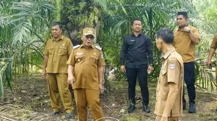 Turun ke Lapangan, Bupati Pasaman Barat Tinjau Kesiapan Lahan Sekolah Rakyat