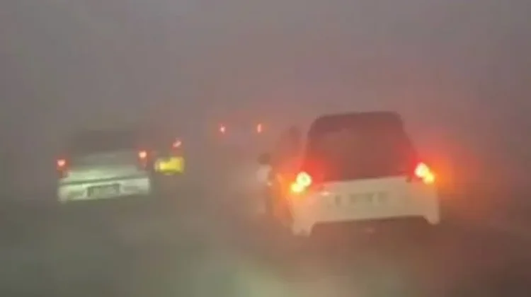 Apa yang Harus Dilakukan saat Kabut Asap Melanda?