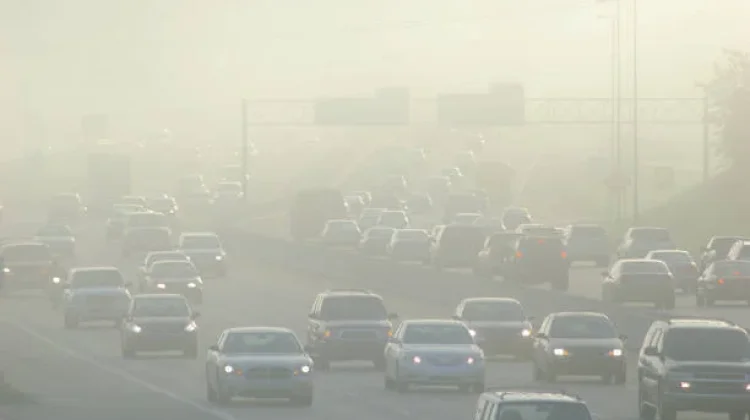 Kabut Asap Mengganggu Pernapasan, Ini Cara Menjaga Kesehatan
