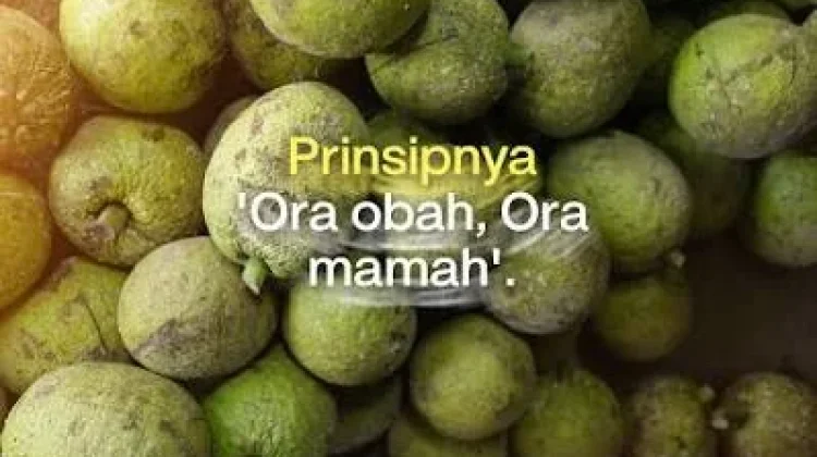Sukun Kalaten Camilan Gurih Khas Minang yang Kaya Nutrisi