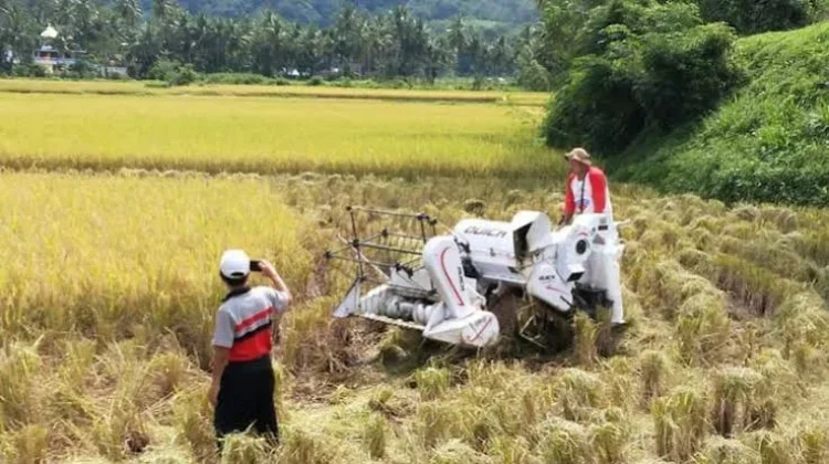 Lima Program Unggulan Kepala Dinas Pertanian Tanah Datar