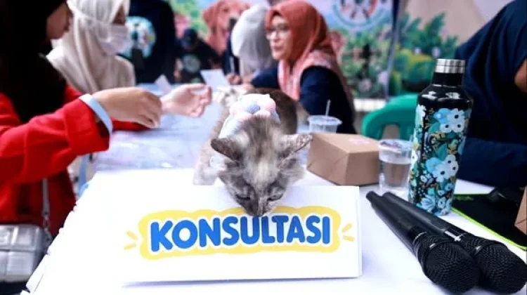 Jaga Kesehatan Hewan Peliharaan, Pemkab Tanah Datar Gelar Vaksinasi Rabies Gratis